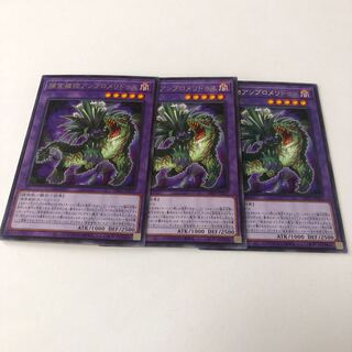 捕食植物アンブロメリドゥス レア