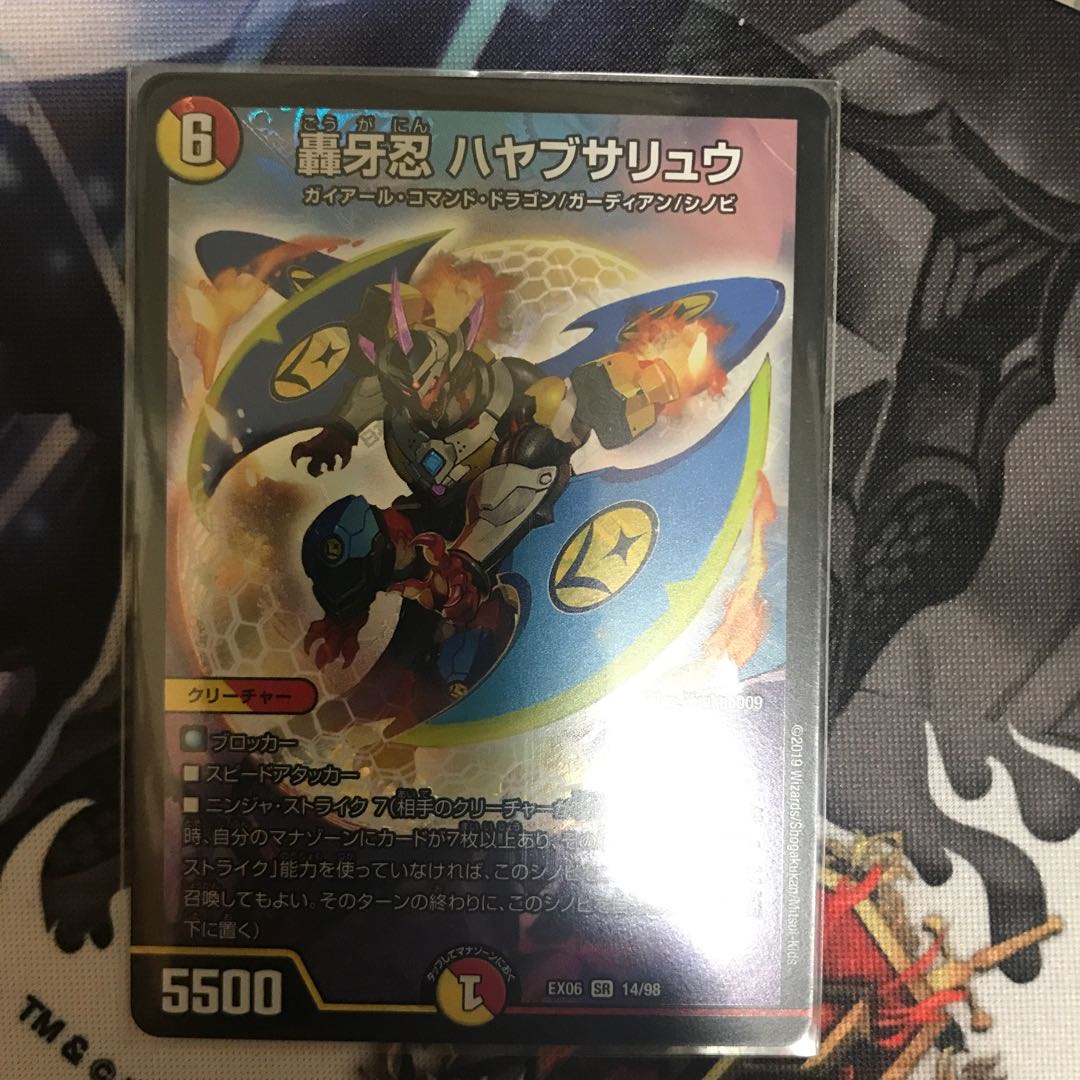 ハヤブサリュウ