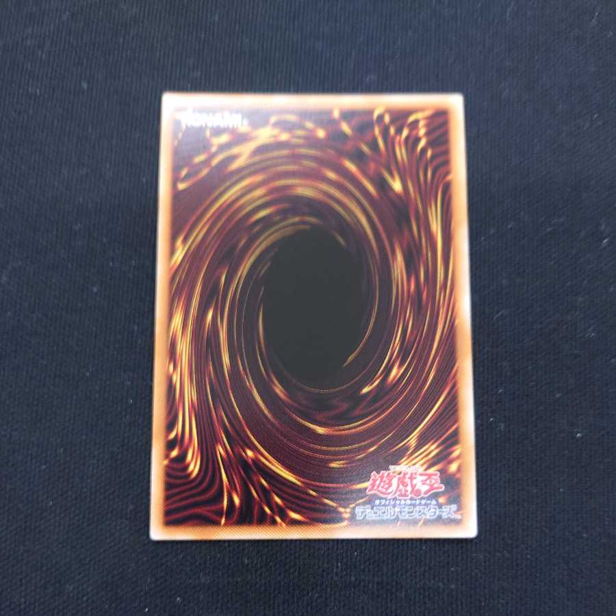 Legendary SwordFighting Warrior Black Luster Soldier Ultimate