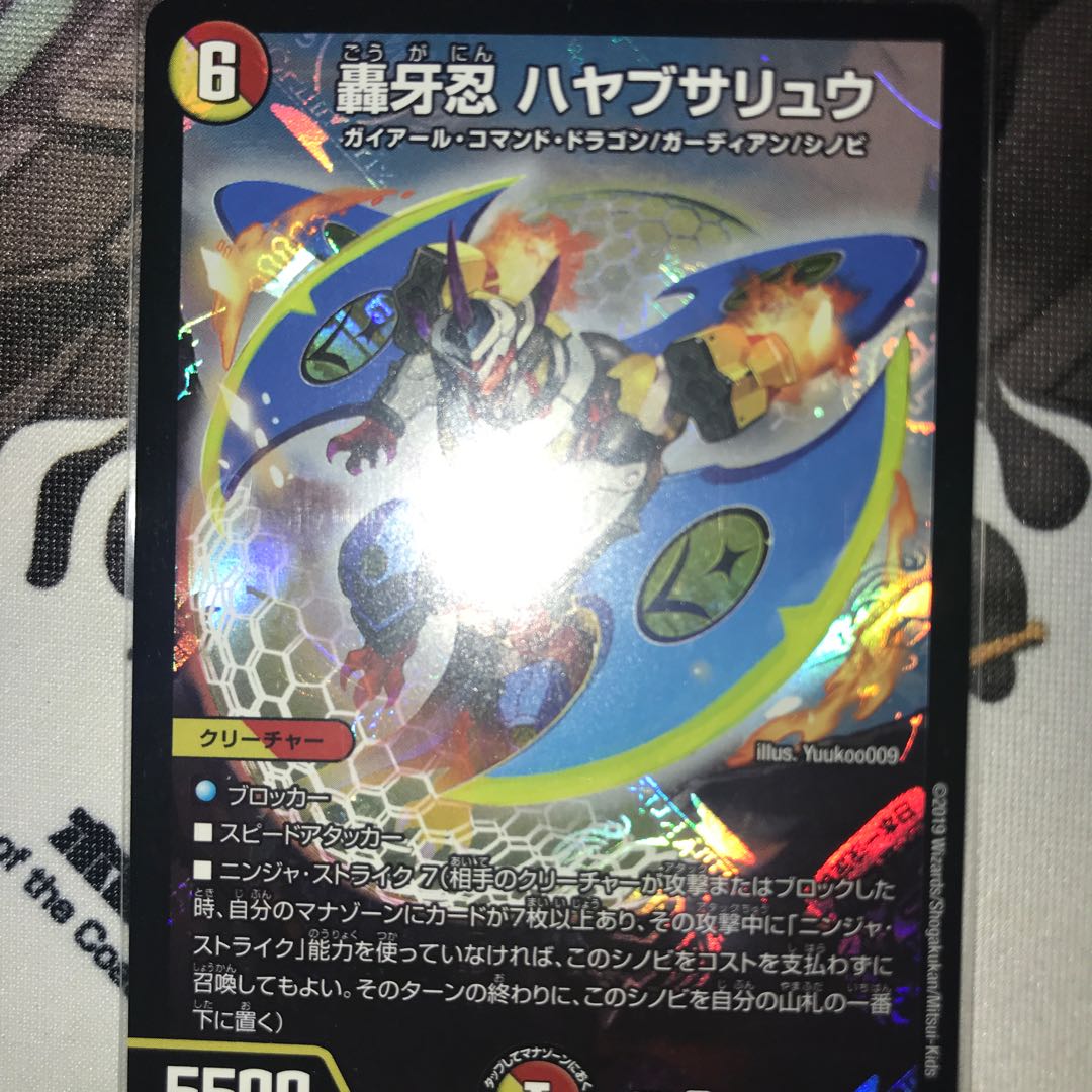 ハヤブサリュウ