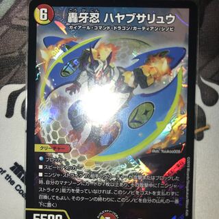 ハヤブサリュウ