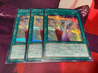 Japanese beautyberry (Callicarpa japonica)