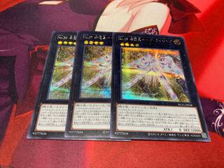 no.39 Hope Emperor Hope Rising