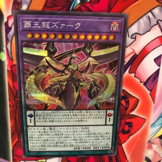 覇王龍ズァーク シークレット