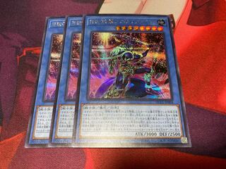 Legendary SwordFighting Warrior Chaos Soldier