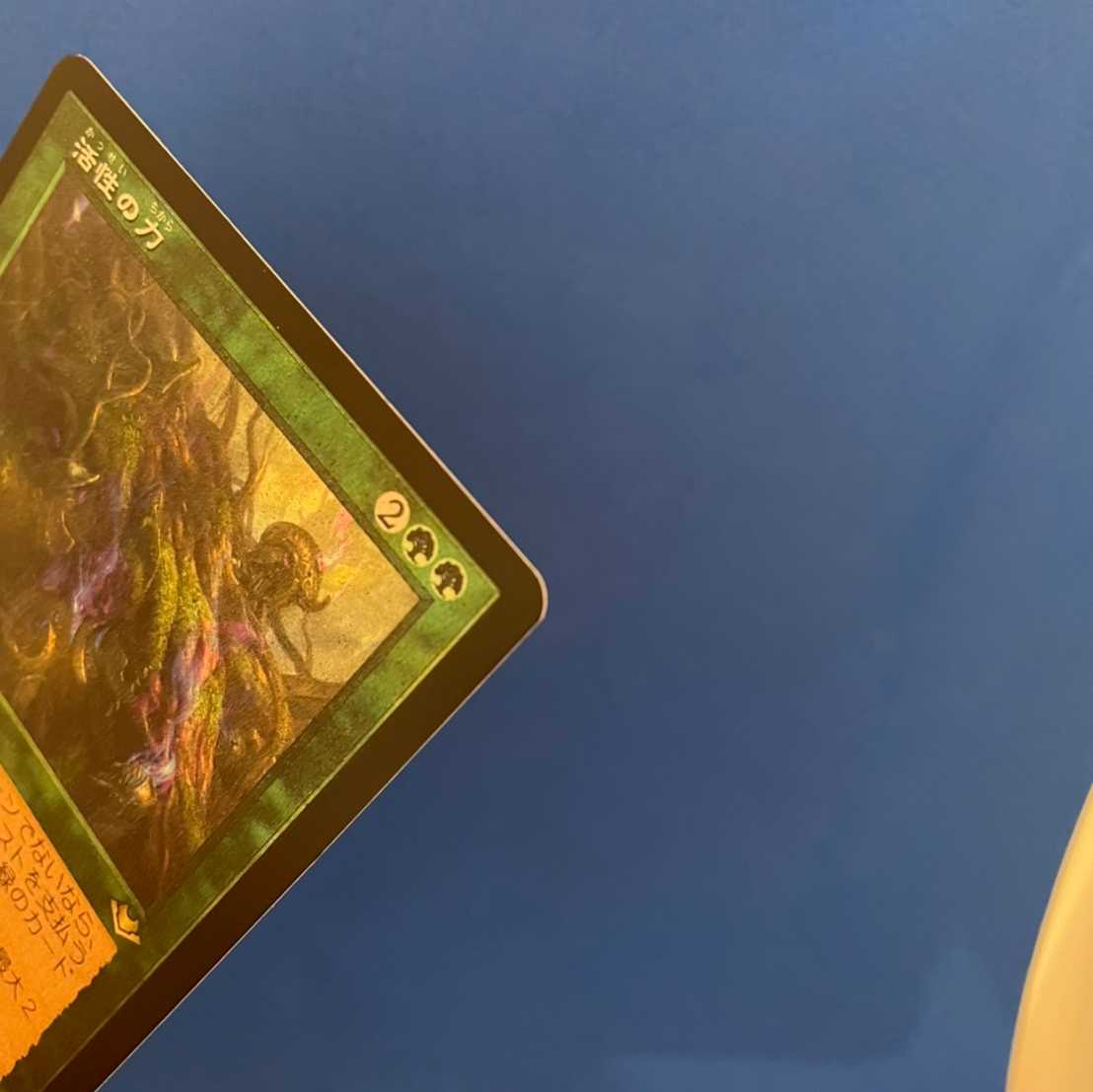 【エッチング・Foil】旧枠《活性の力/Force of Vigor》日本語