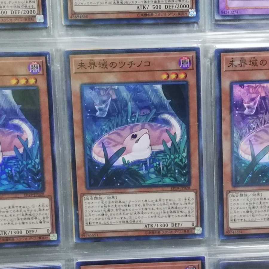 未界域のツチノコ　