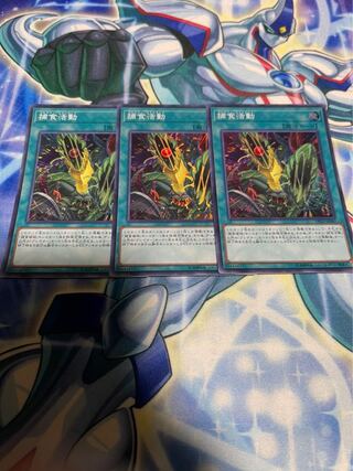 Predapractice Super Rare