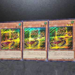 Speedroid Terrortop [Secret].