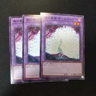 Allvain the Essence of Vanity Normal