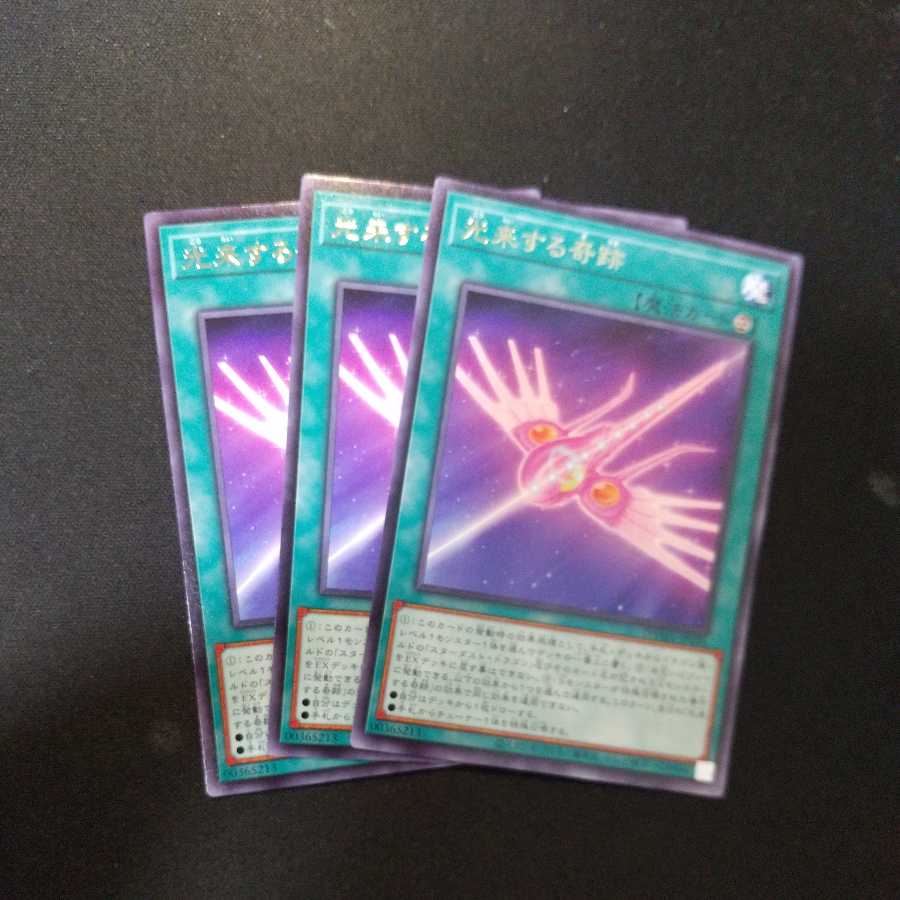 Arrive in Light Rare