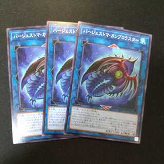 Paleozoic Cambroraster Normal