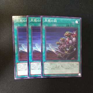 Ties of the Brethren Normal