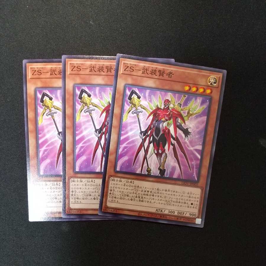 ZS-Armed Sage Normal