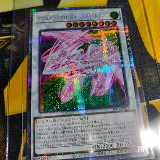 Beautiful History Accel Synchro Stardust Dragon Stardust
