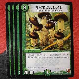 Eat and shimeji C 44/55 DMR04