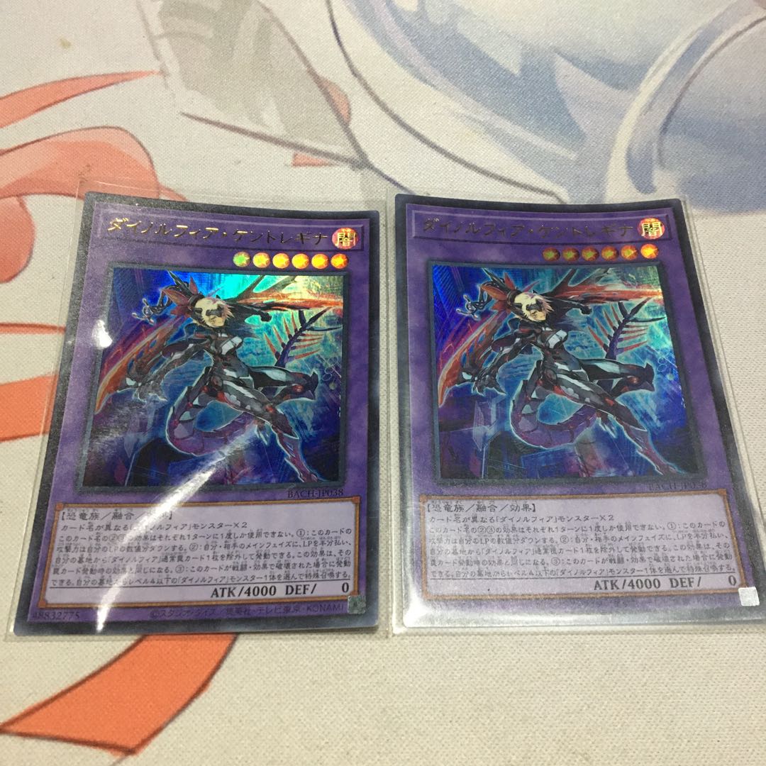 Dynorphia Kentregina Ultra Rare