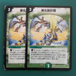 Two sets of evolutionary blueprints