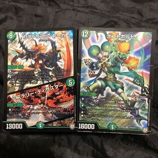 Kabuto Real Cougar｜Mystery・Disaster