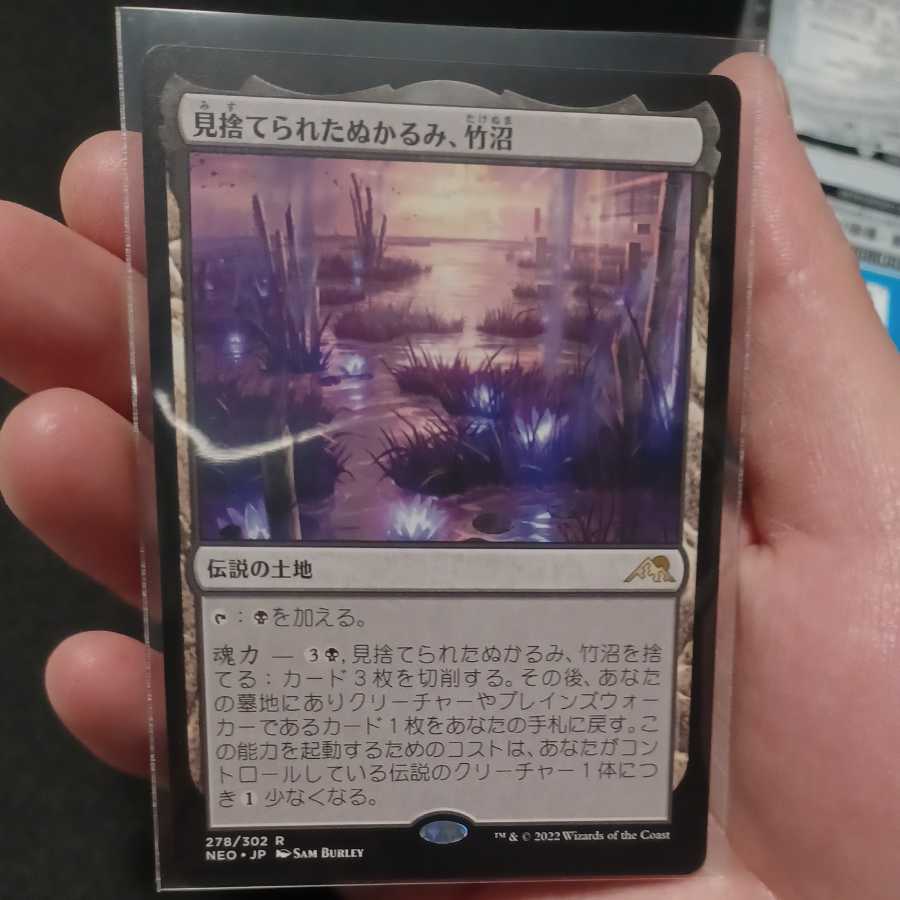 Abandoned Slush, Bamboo Swamp