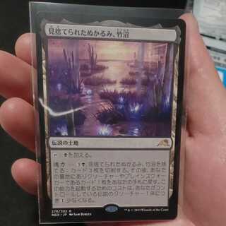 見捨てられたぬかるみ、竹沼