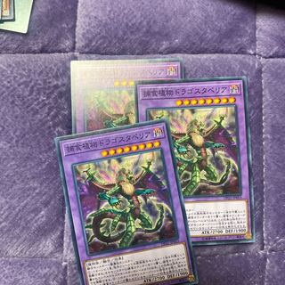 Yu-Gi-Oh! Predaplant Dragostapelia 3 normal cards