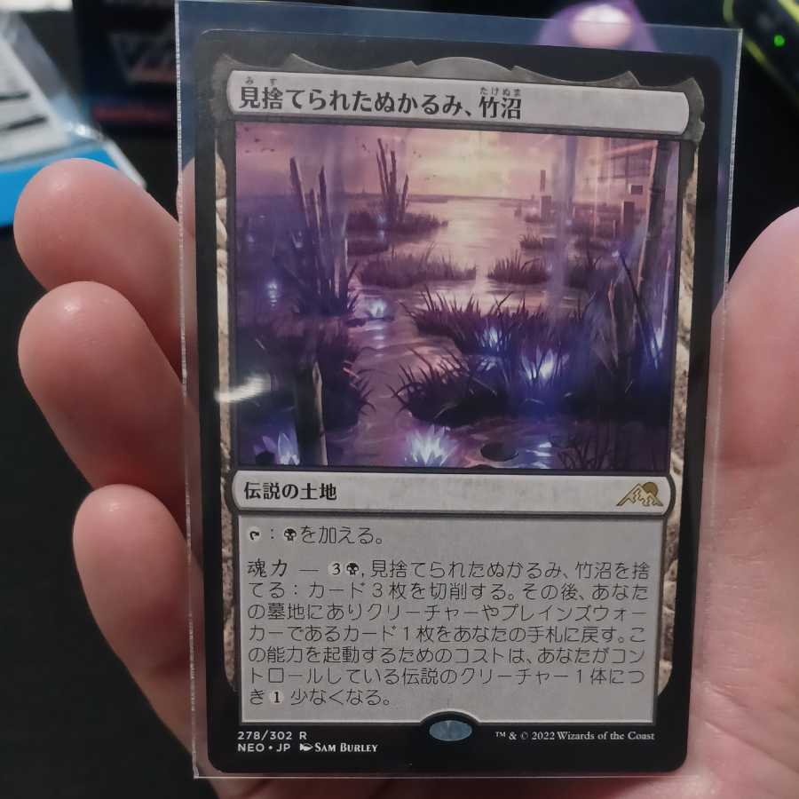 Abandoned Slush, Bamboo Swamp ②