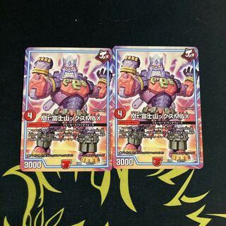 Mt. Fuji Mountain X MAX