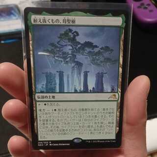 What endures, Mother Holy Tree