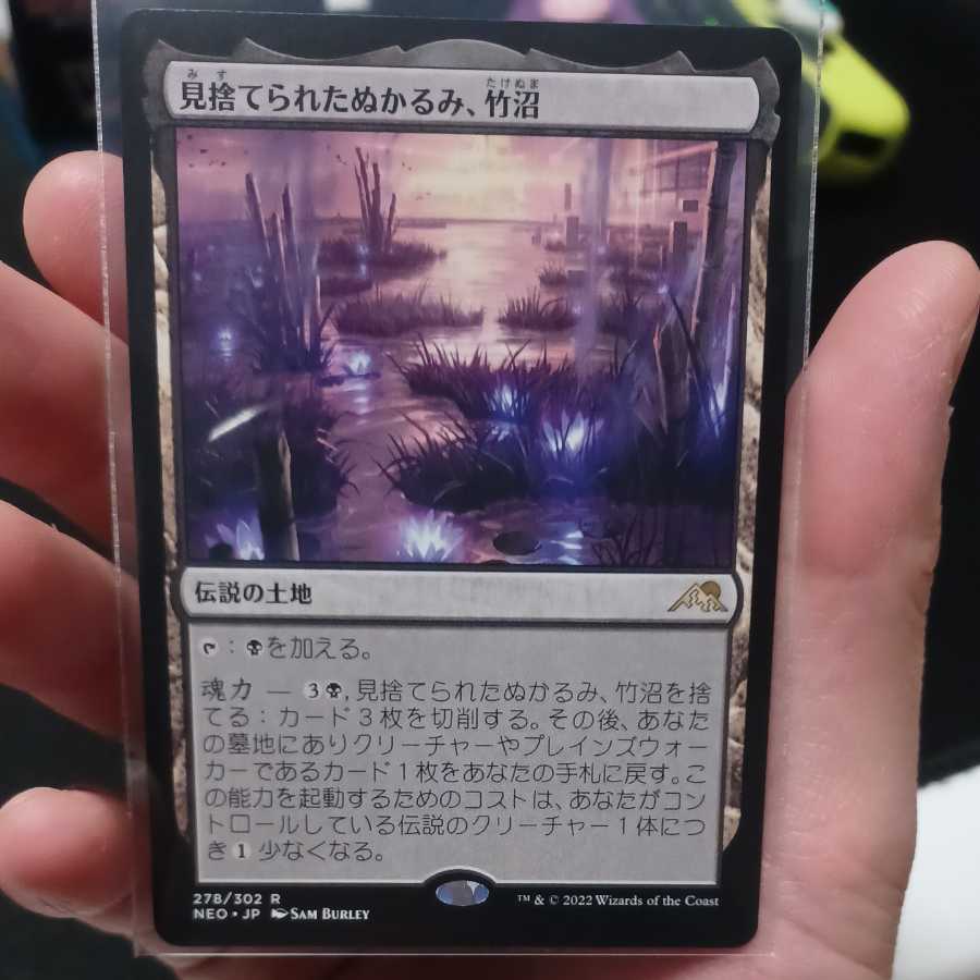 Abandoned slush, bamboo Swamp ③.