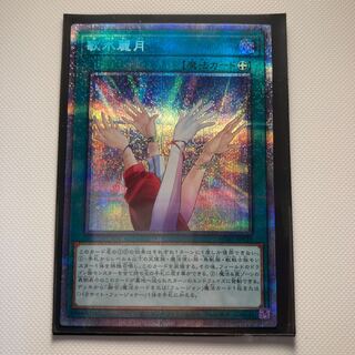 Japanese beautyberry (Callicarpa japonica)