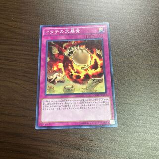 イタチの大暴発 ノーマル