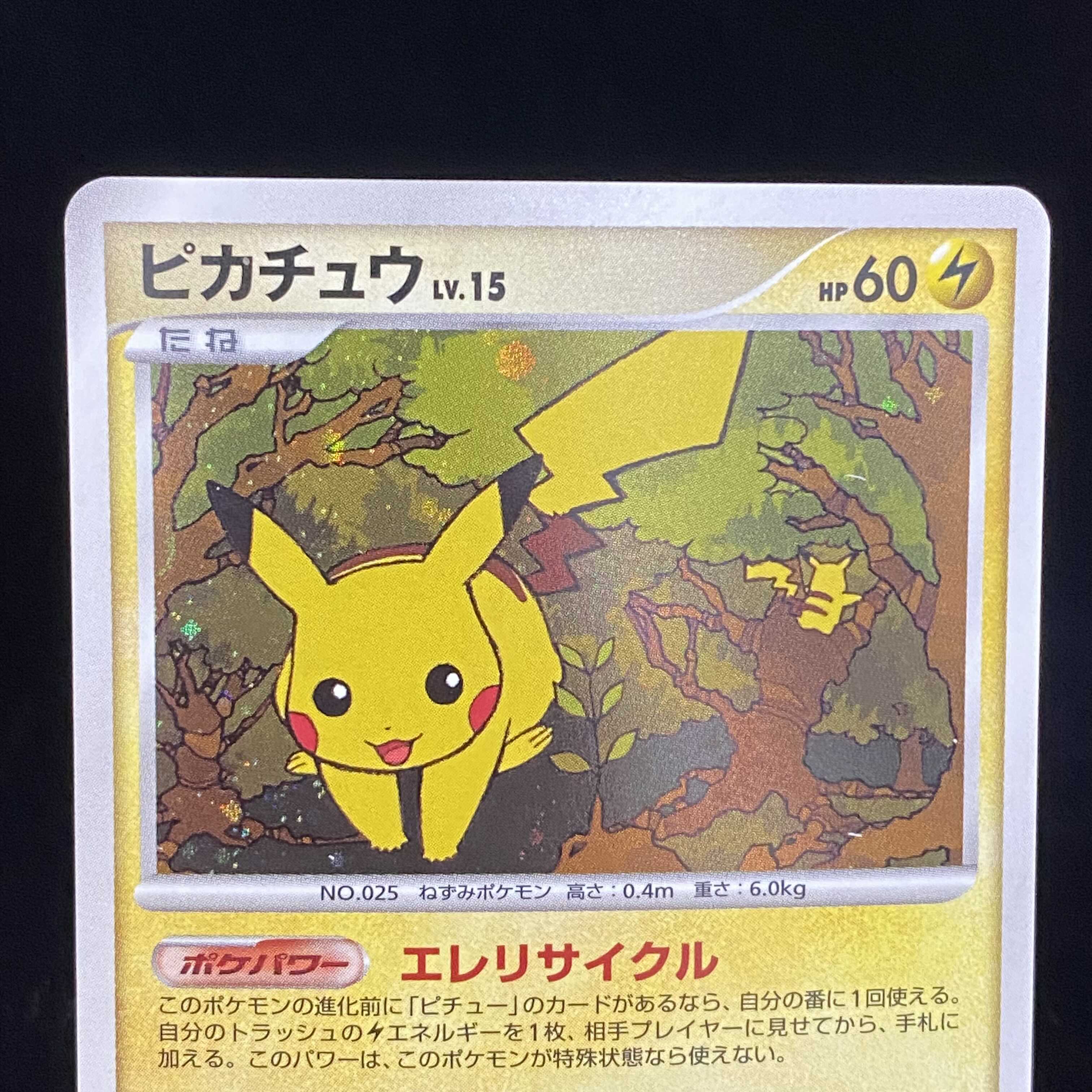 世界13枚のみ!PSA10 ピカチュウ LV.15 2007 エレリサイクル-
