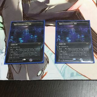 【ボーダーレス】見捨てられたぬかるみ、竹沼 【foil•通常】各1
