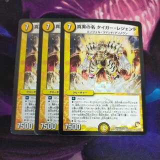 The True Name Tiger Legend VR 3 copies