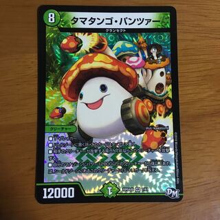 タマタンゴパンツァー