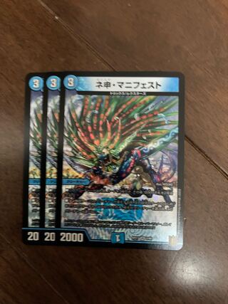 ネ申・マニフェスト3枚