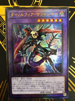 Dynorphia Kentregina Ultimate Rare
