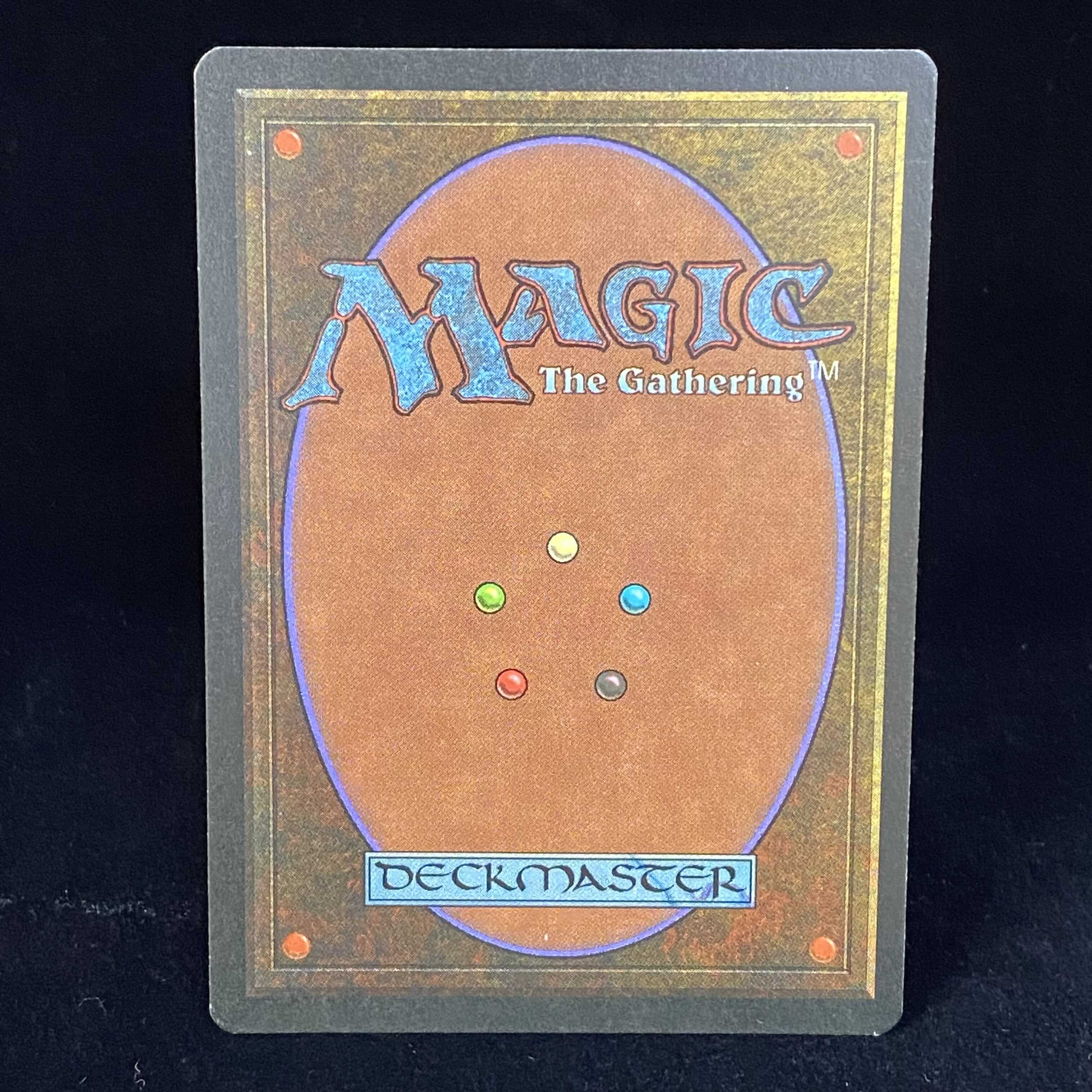 Tropical Island (English)