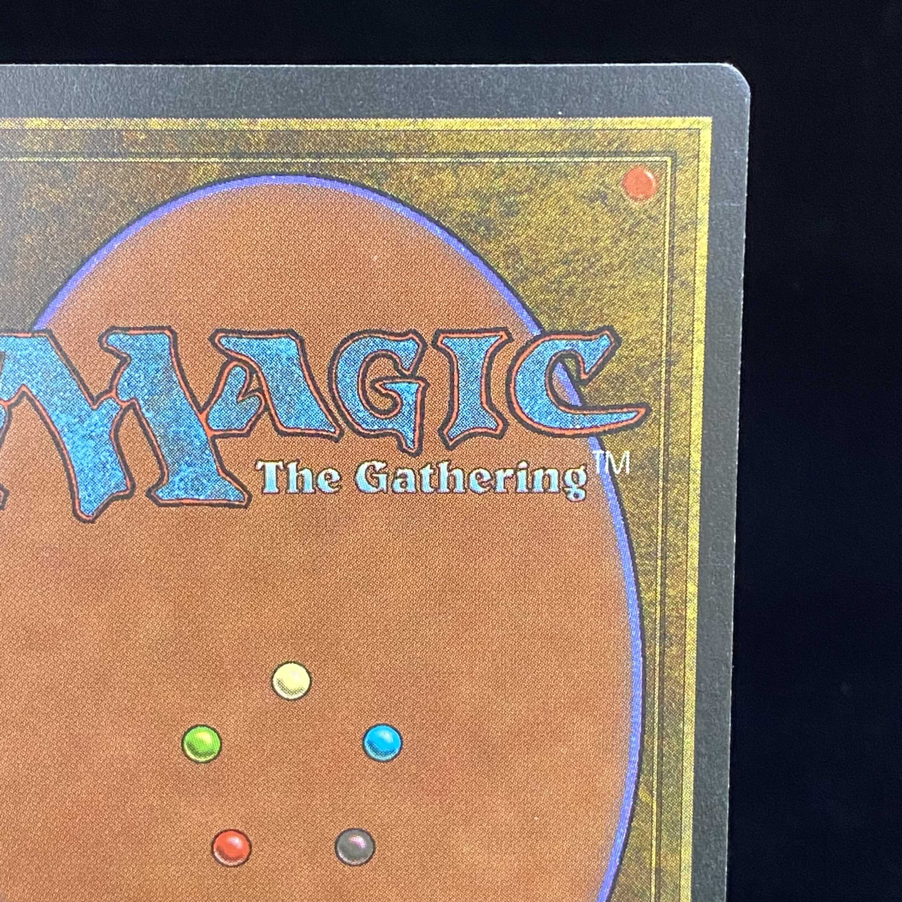 Tropical Island (English)