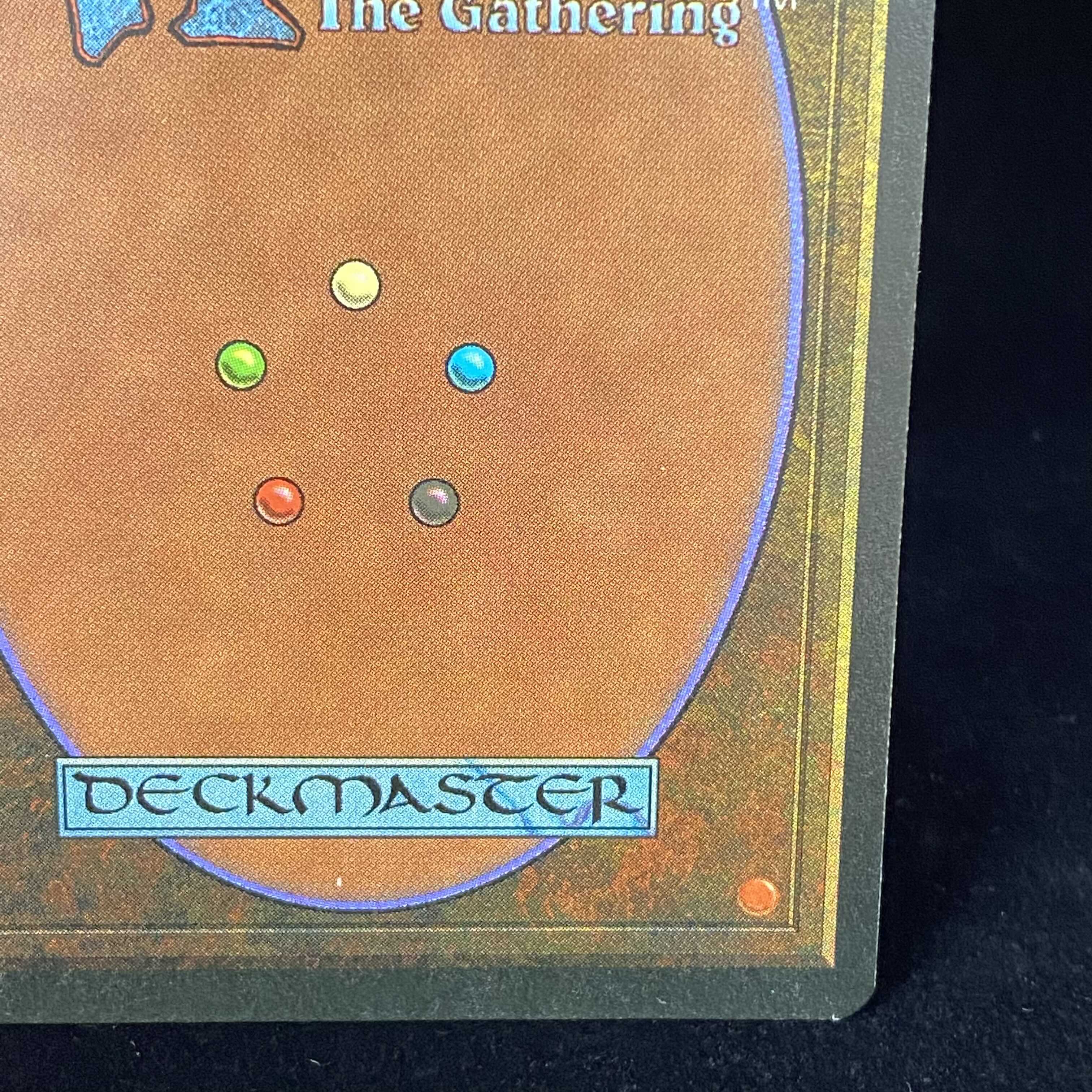 Tropical Island (English)