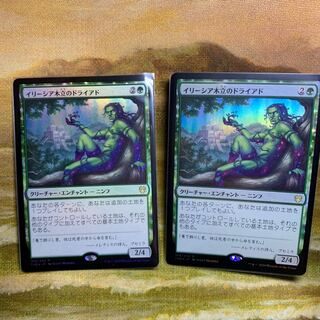 イリーシア木立のドライアドfoil2枚セット