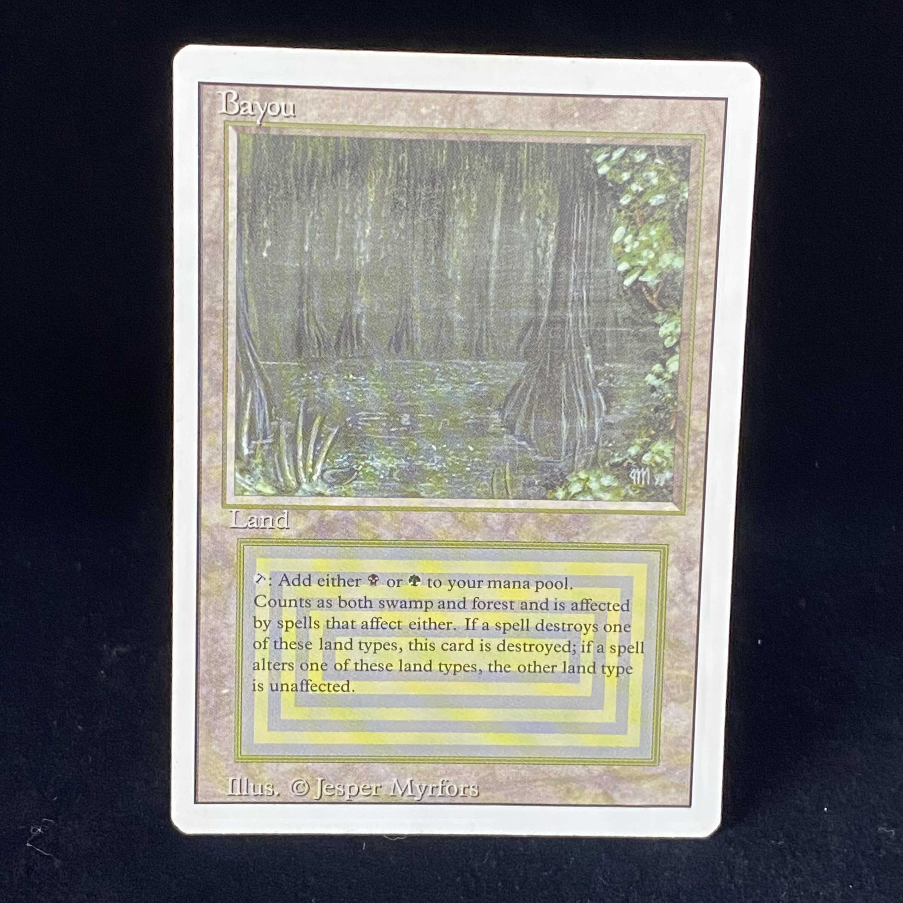 English version of Bayou