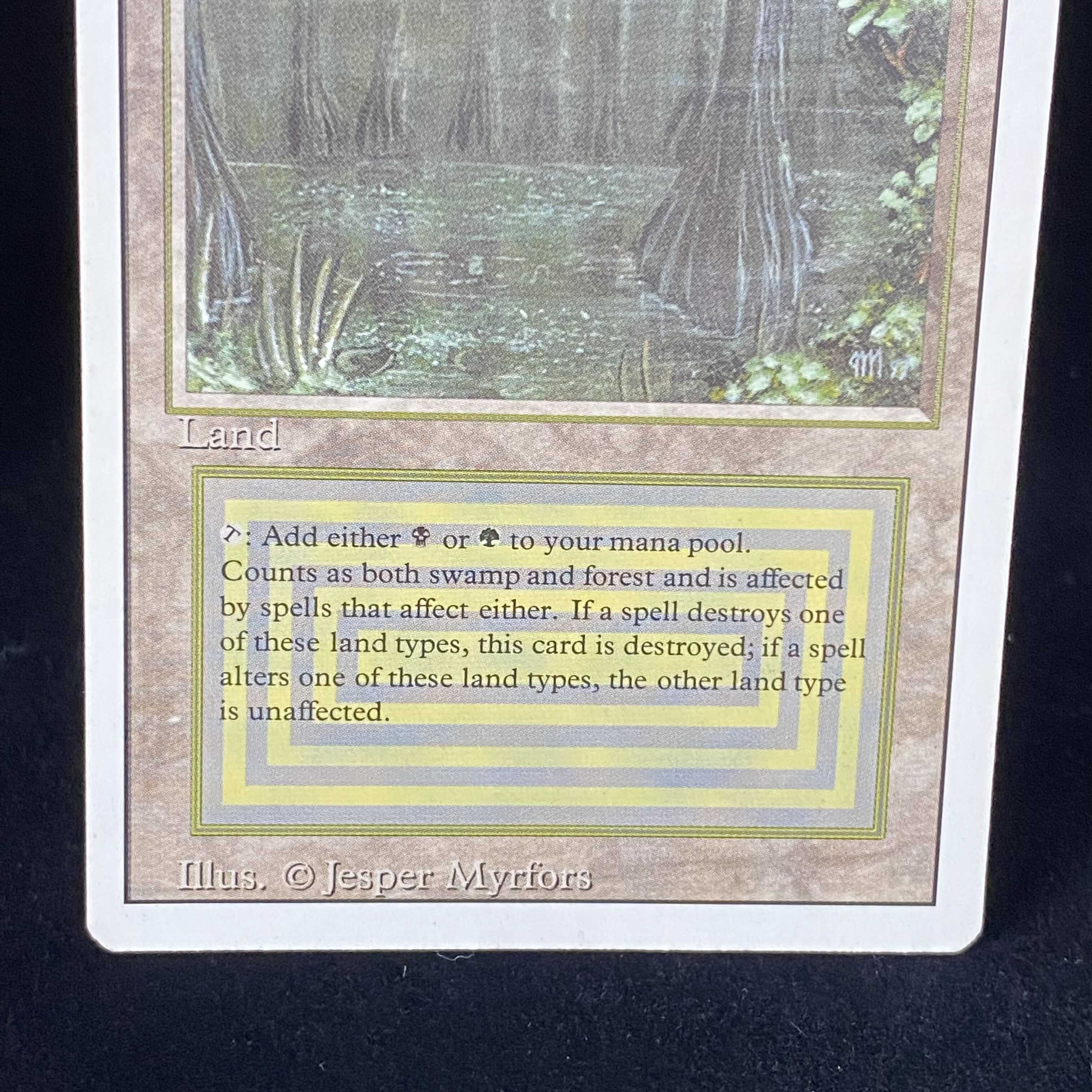 English version of Bayou