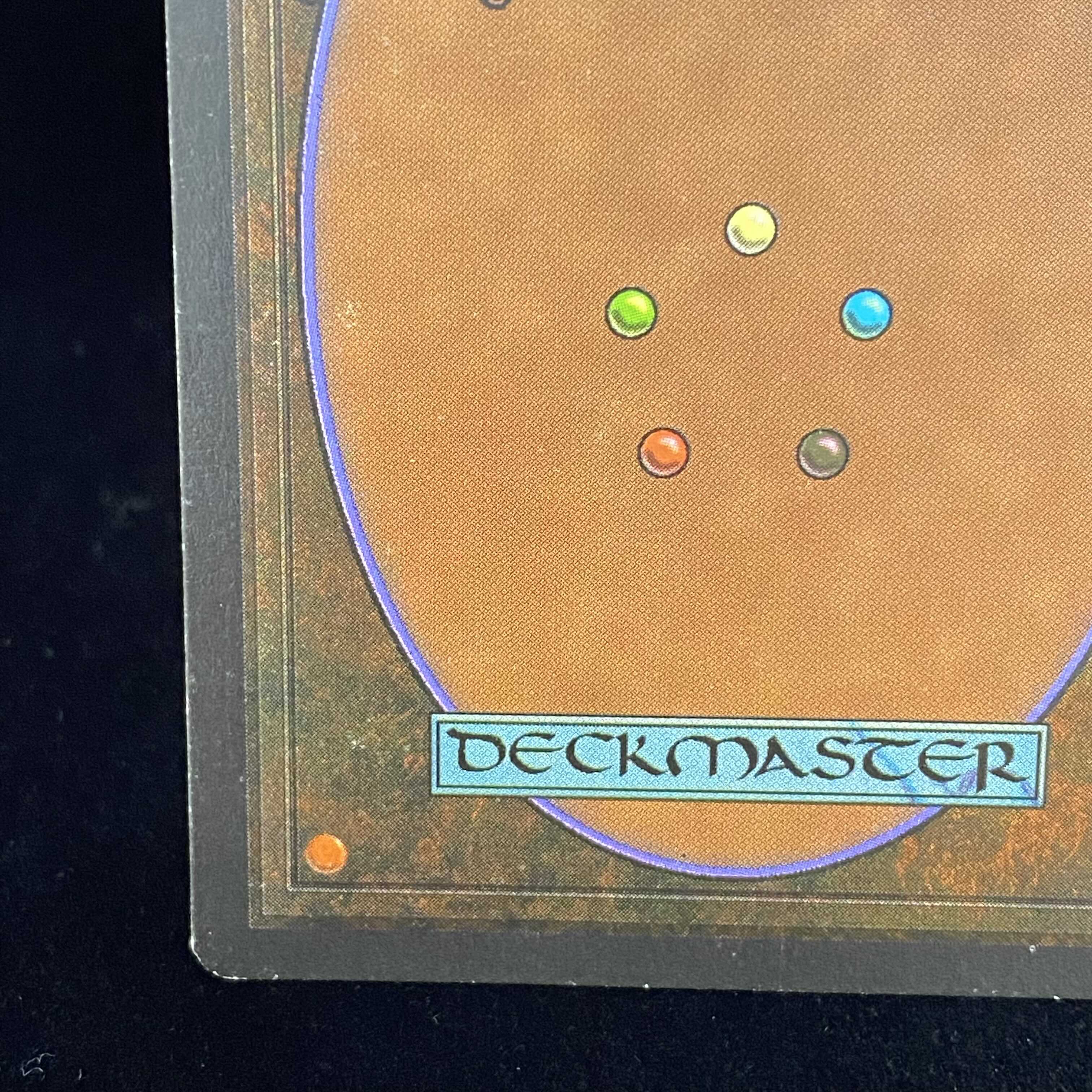 English version of Bayou