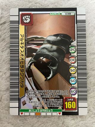 Archeidean Stag Beetle, beautiful, price reduction possible