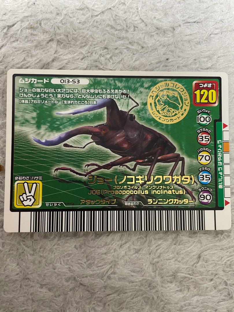 [Very rare] Joe (sawtooth stag beetle), beautiful