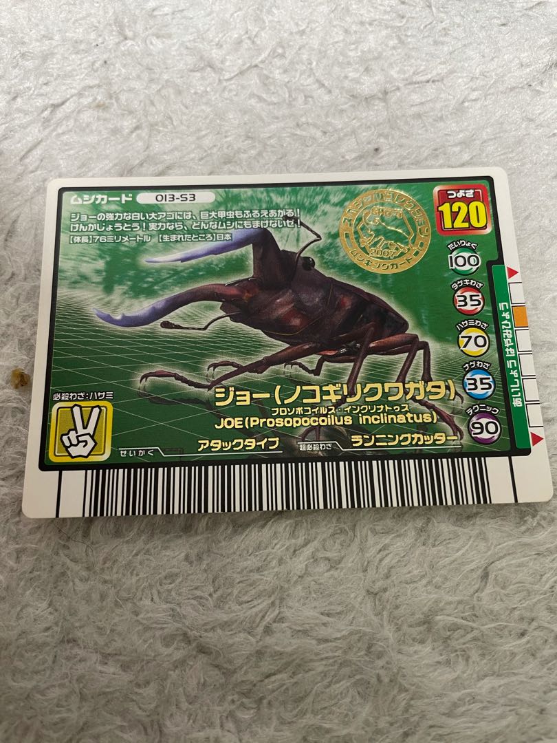 [Very rare] Joe (sawtooth stag beetle), beautiful