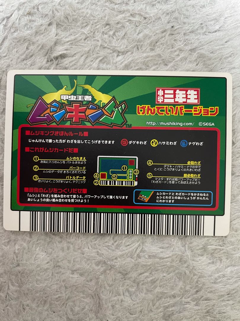 [Very rare] Joe (sawtooth stag beetle), beautiful