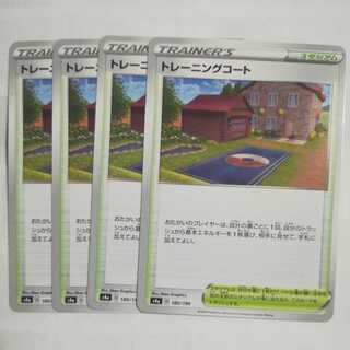 Training Court Set of 4